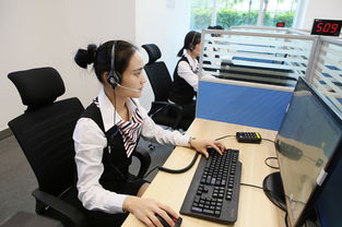 政務(wù)服務(wù)中心咨詢中心 高效便捷的信息咨詢服務(wù)